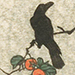 Shotei Takahashi Gallery